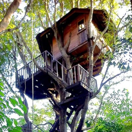 Rabeang Pasak Tree House Resort Chiang Mai Luaran gambar