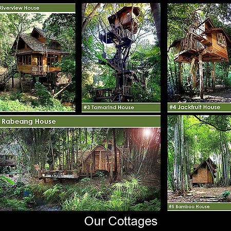 Rabeang Pasak Tree House Resort Chiang Mai Luaran gambar