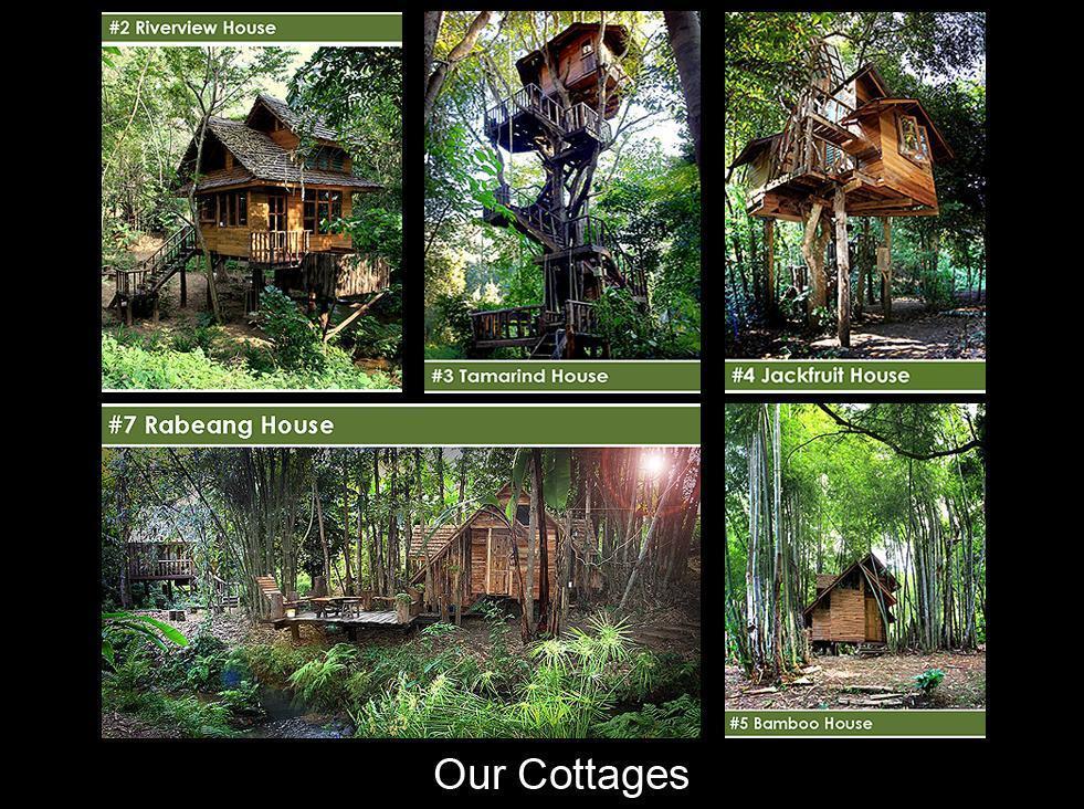 Rabeang Pasak Tree House Resort Chiang Mai Luaran gambar